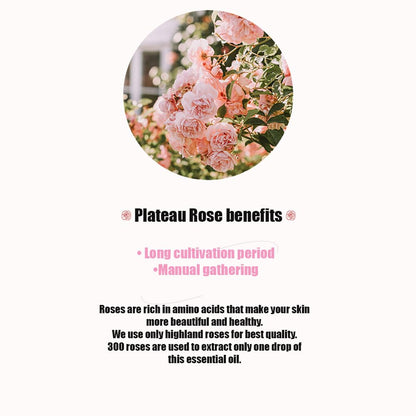 BIOAQUA Rose Glow Oil – 30ml